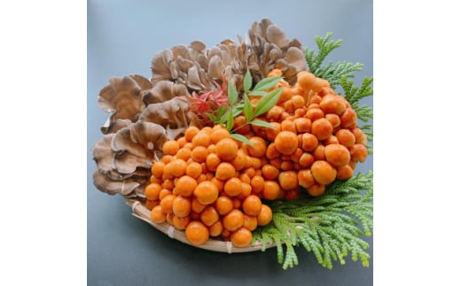 白山の幸セット(梅)【1301303】