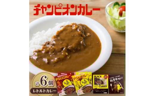 チャンピオンカレー レトルトカレー4種(計6個)セット【1460171】