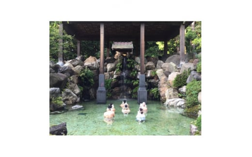 白山比め神社みそぎ体験【1481723】