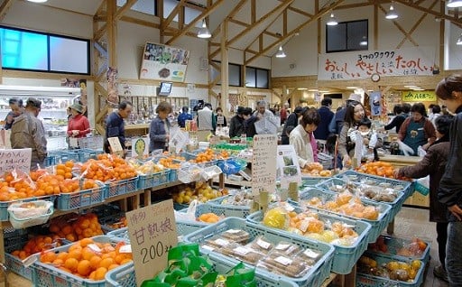 （1）地場産品発掘・ブランド化事業