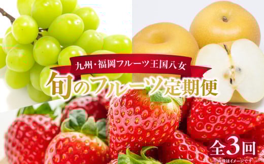 九州・福岡フルーツ王国八女 お楽しみ旬のフルーツ定期便【全3回】|<配送不可:北海道・沖縄・離島> あまおう シャインマスカット 梨 いちご 苺 なし 果物 先行予約