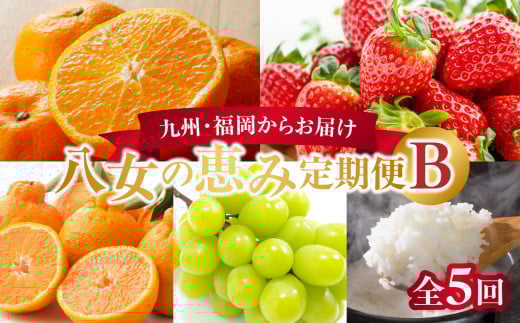 九州・福岡からお届け！お楽しみ八女の恵み定期便【全５回】 B｜配送不可：北海道・沖縄・離島