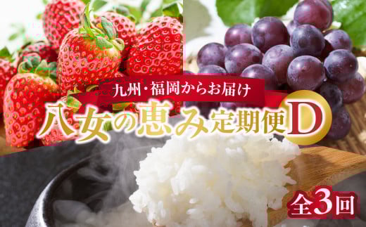 九州・福岡からお届け！八女の恵み定期便【全３回】 D｜＜配送不可：北海道・沖縄・離島＞