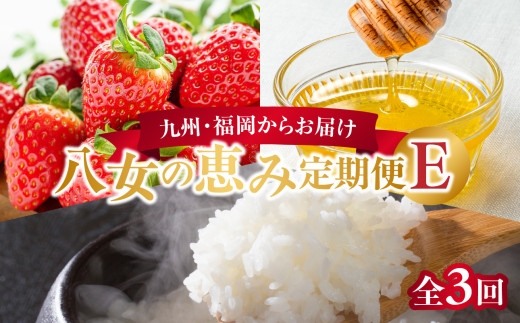 九州・福岡からお届け！八女の恵み定期便【全３回】 E｜＜配送不可：北海道・沖縄・離島＞