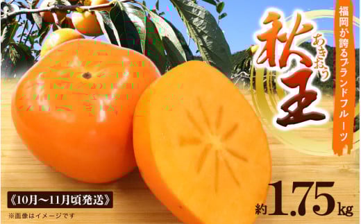 秋の贅沢、濃厚であま～い柿の新ブランド「秋王」約1.75 kg フルーツ 秋の味覚