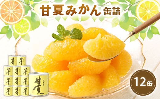 缶詰 甘夏みかん缶詰（全粒）12缶入 国産 甘夏みかん 蜜柑 ミカン みかん 甘夏 フルーツ デザート フルーツ缶詰 保存食 非常用 防災 備蓄食 かんづめ 果物