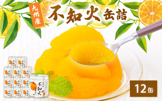 不知火缶詰 12缶入 フルーツ しらぬい 保存食 備蓄