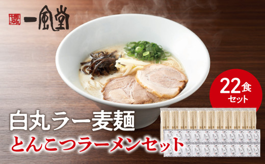 一風堂白丸ラー麦麺セット（22食） ラーメン とんこつ 豚骨 豚骨スープ ストレート麺 ラー麦 本格 福岡 ご当地 お取り寄せ