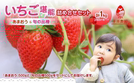 いちご堪能詰め合わせセット 250g×4パック（合計1kg）｜2026年2月～順次発送＜ひらい観光農園＞ あまおう いちご 苺 イチゴ フルーツ 果物 くだもの 人気 旬 福岡県産 食べ比べ 採れたて セット 冷蔵配送 数量限定 期間限定 産地直送 福岡県 八女市