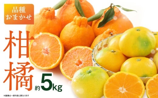品種おまかせ！柑橘（5kg） ミカン みかん デコポン 柑橘 おまかせ 5キロ 旬 フルーツ 果物 福岡県 八女市