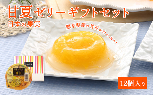 甘夏ゼリー12個ギフトセット 八女 フルーツゼリー さわやか 甘み 酸味 苦味