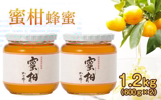 ＜国産＞かの蜂 みかん蜂蜜1.2kg【600g×2個】福岡県八女市で収獲した完熟みかん蜂蜜 保存食 防災グッズ