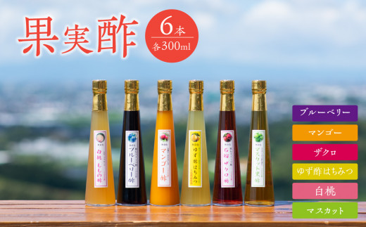 [江崎酢醸造元]果実酢6本セット 各300ml