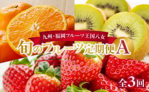 九州・福岡フルーツ王国八女　旬のフルーツ定期便【全３回】 A｜＜配送不可：北海道・沖縄・離島＞ あまおう いちご 苺 イチゴ キウイ みかん ミカン フルーツ 果物 くだもの 人気 旬 デザート 福岡県産 アフター補償 産地直送 福岡県 八女市