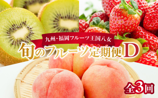 九州・福岡フルーツ王国八女 旬のフルーツ定期便【全3回】 D|<配送不可:北海道・沖縄・離島> あまおう 苺いちご イチゴ キウイ キウイフルーツ もも 桃 モモ 果物くだもの フルーツ 定期便 デザート 旬 もぎたて 直送 福岡 八女市