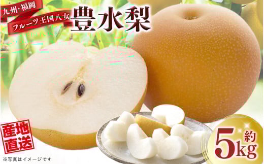 産地直送！ 梨(豊水) 約5kg 【2026年8～9月発送】九州・福岡フルーツ王国八女 ＜配送不可：北海道・沖縄・離島＞ なし ナシ 果物 果実 フルーツ 旬な梨 新鮮な梨 甘い梨 ジューシーな梨 みずみずしい梨 国産梨 豊水梨