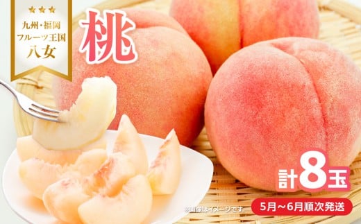 【2026年5月下旬~6月発送】九州・福岡フルーツ王国八女から直送!桃 8玉入り<配送不可:北海道・沖縄・離島> 県 八桃 もも モモ フルーツ くだもの 果物 産地直送 ジューシー 家庭用 自宅用 家族団らん デザート スイーツ作り 福岡女市