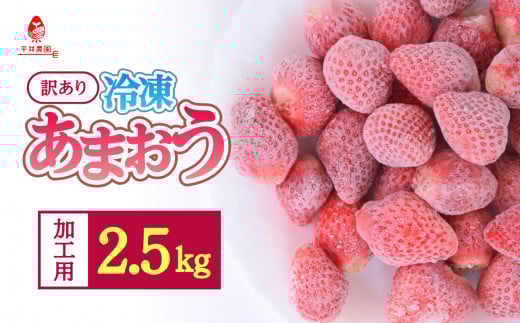 訳あり!加工用!冷凍あまおう たっぷり2.5kg[ひらい観光農園] あまおう いちご 完熟 イチゴ 苺 シャーベット スムージー ジャム お菓子作り 加工用 期間限定 数量限定 福岡県 八女市