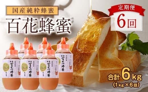 【全6回】 定期便 かの蜂 国産 百花蜂蜜 合計6kg（とんがり容器1kgを毎月1本お届け） 純粋はちみつ ハチミツ 非加熱 ハニー 大容量 定期便 美容 健康 自然食品 福岡県