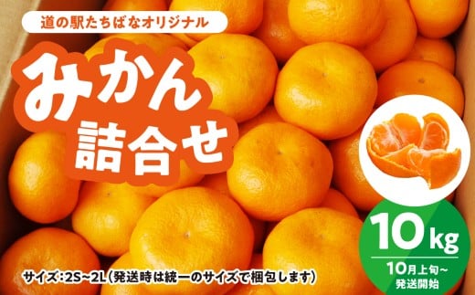 ＜道の駅たちばなオリジナル＞みかん10kg詰合せ 早生みかん 中生みかん 晩生みかん ミカン オレンジ 果物 フルーツ