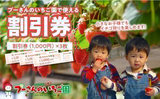 プーさんのいちご園　割引券（3,000円分）【レターパック】 イチゴ狩り 割引 チケット いちご イチゴ 苺 体験型 福岡県 八女市