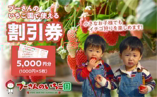 プーさんのいちご園　割引券（5,000円分）【レターパック】 イチゴ狩り 割引 チケット いちご イチゴ 苺 体験型 福岡県 八女市