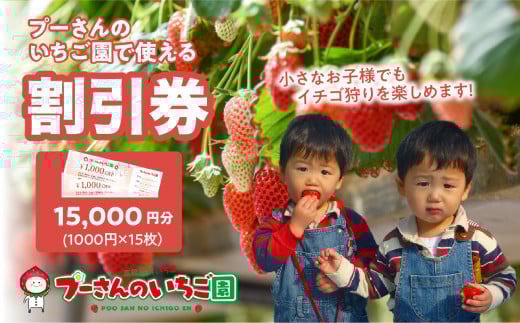 プーさんのいちご園　割引券（15,000円分）【レターパック】 イチゴ狩り 割引 チケット いちご イチゴ 苺 体験型 福岡県 八女市