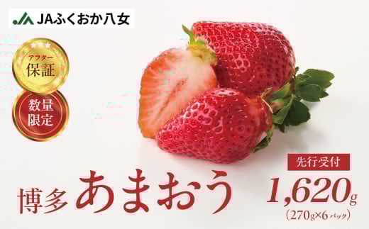 【2026年2月発送開始】博多あまおうＧ約270g×6パック｜ＪＡふくおか八女 あまおう いちご 苺 イチゴ フルーツ 果物 くだもの 人気  旬 福岡県産 大粒 アフター補償 数量限定 期間限定 産地直送 グランデ 福岡県 八女市