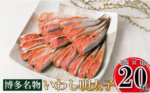 【博多漁師の里】福岡名物！いわし明太子２０尾（５尾×４パック）化粧箱入り 国産真いわし使用 鰯 イワシ 旬 魚 めんたいこ ご飯のお供 おつまみ おかず 冷凍 真空パック 便利 簡単調理 美味しい