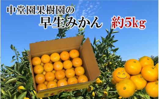 121-01 中堂園果樹園の早生みかん