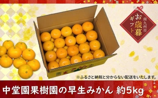 121-01-1 【お歳暮に】中堂園果樹園の早生みかん