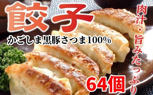 052-03 「かごしま黒豚さつま」餃子64個セット