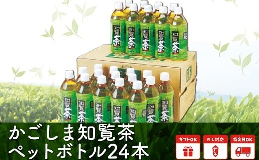 【全12回】かごしま知覧茶ペットボトル定期便 051-T1
