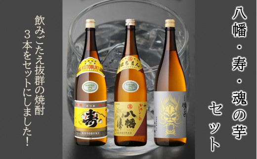 026-71 八幡・寿・魂の芋セット