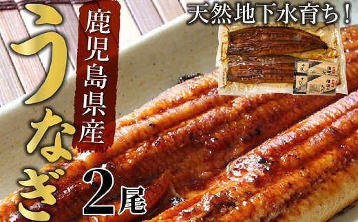 062-3-03 天然地下水育ち!鹿児島県産うなぎ蒲焼2尾