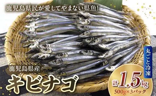 008-65 鹿児島県産キビナゴ丸ごと冷凍1.5kg