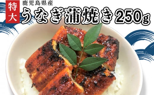 110-01 「特大」鹿児島県産うなぎ蒲焼き250g(タレ付き)