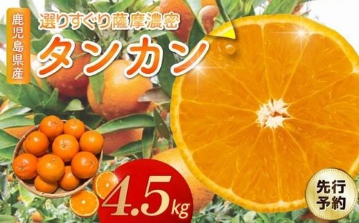 002-25 【先行予約】こだわりの薩摩濃密タンカン4.5kg
