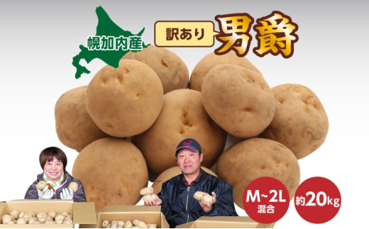 [№5795-0180]北海道産 訳あり じゃがいも 男爵 M～2L 約20kg ジャガイモ 馬鈴薯 ポテト キタアカリ 芋 いも イモ 旬 冬 農作物 訳アリ 規格外 家庭用 北海道 お取り寄せ 産地直送 笠井ファーム 送料無料 幌加内
