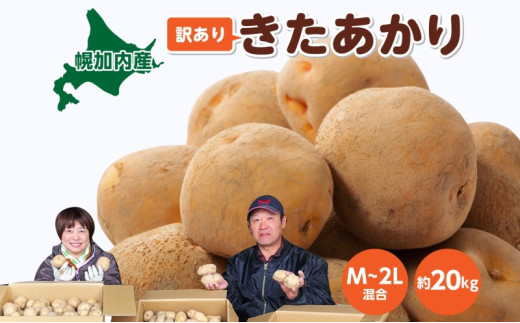 [№5795-0182]北海道産 訳あり じゃがいも きたあかり M～2L 約20kg ジャガイモ 馬鈴薯 ポテト キタアカリ 芋 いも イモ 旬 冬 農作物 訳アリ 規格外 家庭用 北海道 お取り寄せ 産地直送 笠井ファーム 送料無料 幌加内