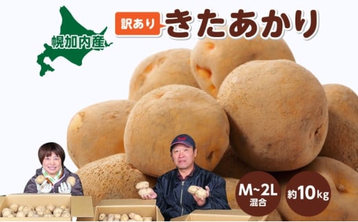 [№5795-0373]北海道産 訳あり じゃがいも きたあかり M～2L 約10kg ジャガイモ 馬鈴薯 ポテト キタアカリ 芋 いも イモ 旬 冬 農作物 訳アリ 規格外 家庭用 北海道 お取り寄せ 産地直送 笠井ファーム 送料無料 幌加内