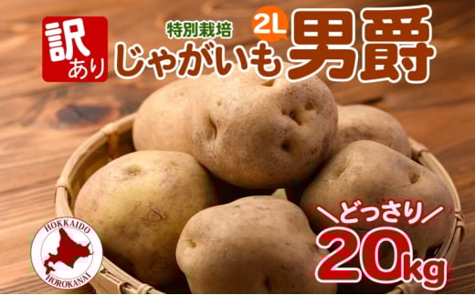 [№5795-0381]＜2025年秋以降出荷＞北海道 訳あり 特別栽培 じゃがいも 男爵 2L 約20kg ジャガイモ 馬鈴薯 芋 野菜 根菜 旬 冬野菜 北海道産 国産 生 ポテト 甘い ホクホク 農作物 訳アリ 規格外 20キロ お取り寄せ 産地直送 食材