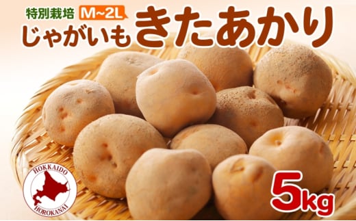 [№5795-0397]＜2025年秋以降出荷＞ 北海道 じゃがいも きたあかり M～2L 約5kg 特別栽培 ジャガイモ 馬鈴薯 キタアカリ 芋 いも イモ ポテト 北あかり 野菜 農作物 お取り寄せ 産地直送 北海道産 畑農場 幌加内