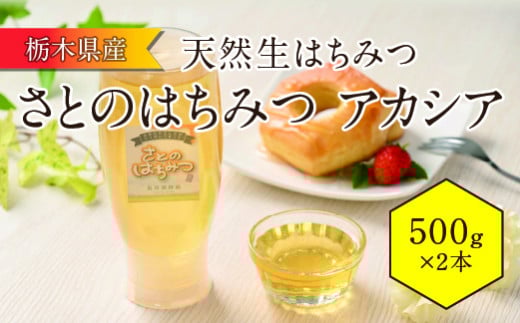 さとのはちみつ(地元産天然生はちみつ)アカシア 500g 2本セット