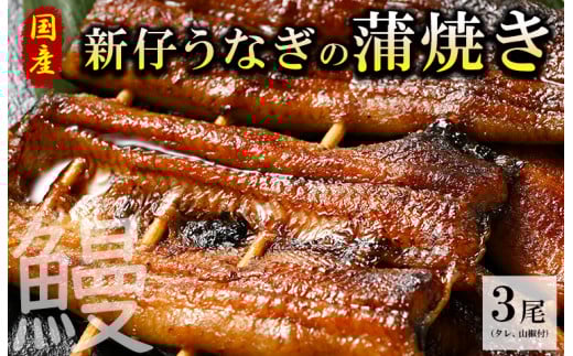国産新仔うなぎの蒲焼き3尾(タレ、山椒付)うなぎ 鰻 ウナギ 土用 丑の日 冷凍 グルメ 真空パック ※着日指定不可◇
