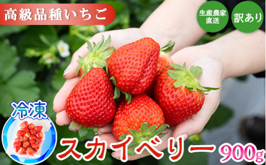 生産農家直送高級品種☆無選別訳あり 冷凍 いちご 栃木県壬生町産スカイベリー900g(300g×3)果物 フルーツ 苺 フレッシュ