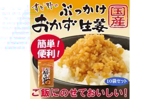 国産ぶっかけおかず生姜 10袋 おかず ご飯のお供 ご飯 ごはん 生姜 国産 常温 栃木県 壬生町