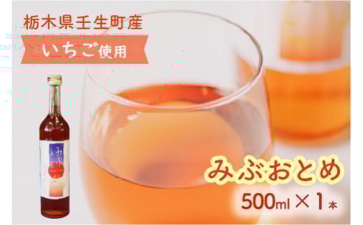 みぶおとめ 500mL 1本 ※2024年8月頃より順次発送予定