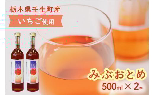 みぶおとめ 500mL 2本 ※2024年8月頃より順次発送予定