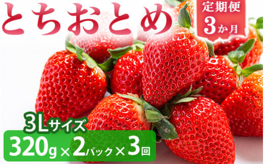 ＜いちご3か月定期便＞栃木県産とちおとめ 320g×2パック 3Lサイズ 3回 | 栃木県 壬生町 いちご 苺 イチゴ とちおとめ フルーツ 果物 新鮮 平積み 産地直送 2026年1月 2月 3月 ※2026年1月中旬頃より順次発送予定 ※離島への配送不可